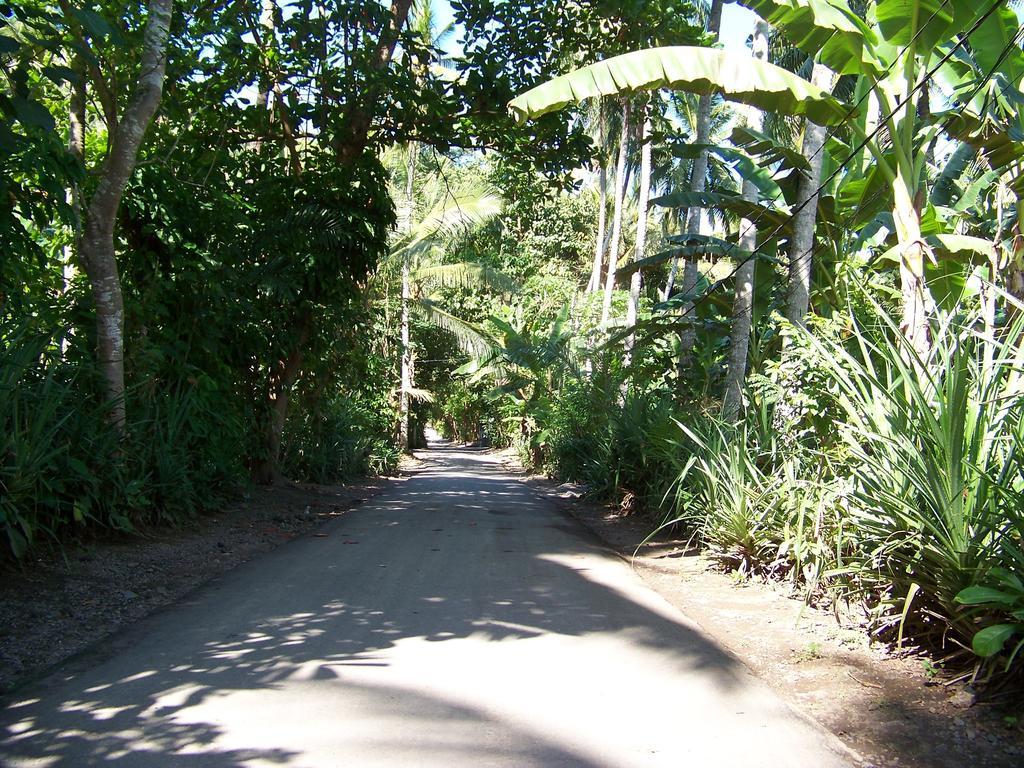 Vista Del Mar Villa Candidasa Rum bild